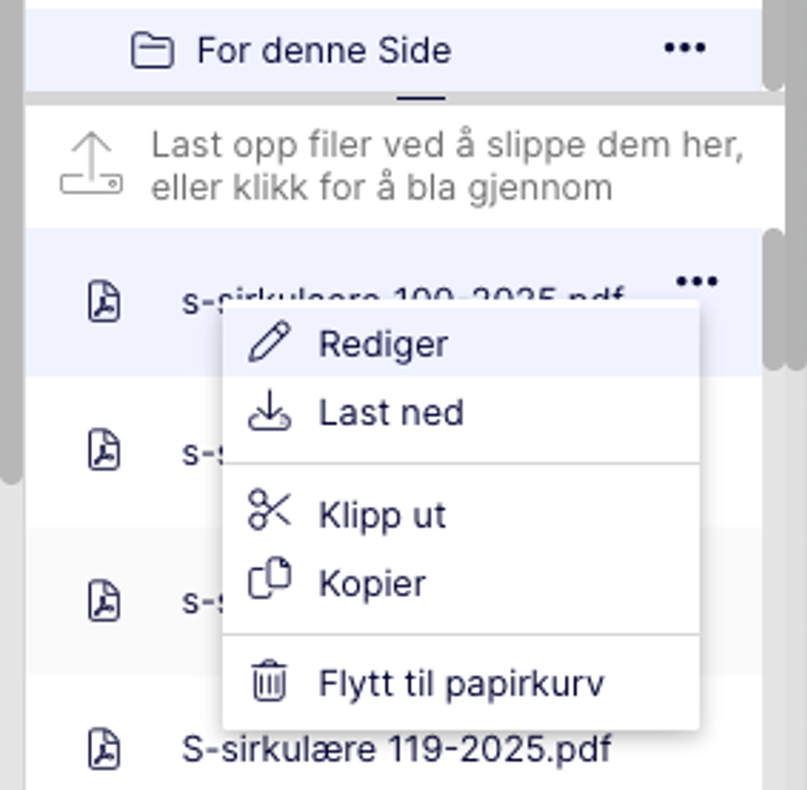 Skjermbilde som viser hvordan man redigerer filnavn i Optimizely